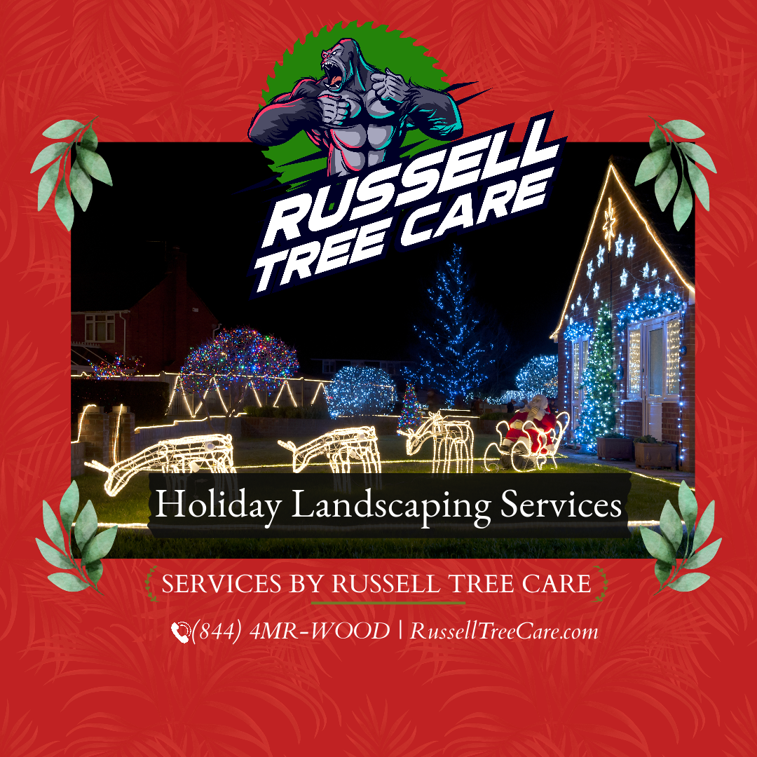 Holiday Landscaping Services by Russell Tree Care
